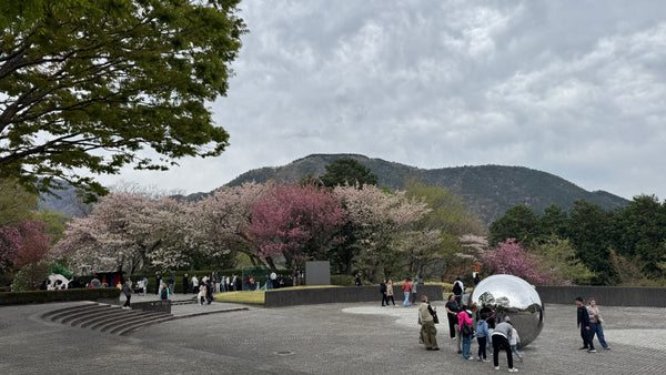 Planning a Hakone trip in Spring? Discover cherry blossoms in Odawara, Lake Ashi, and more with this easy 2-day itinerary using the Hakone Freepass