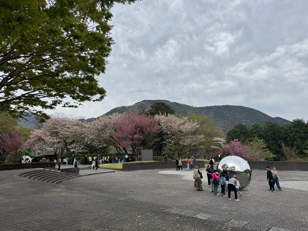 Planning a Hakone trip in Spring? Discover cherry blossoms in Odawara, Lake Ashi, and more with this easy 2-day itinerary using the Hakone Freepass