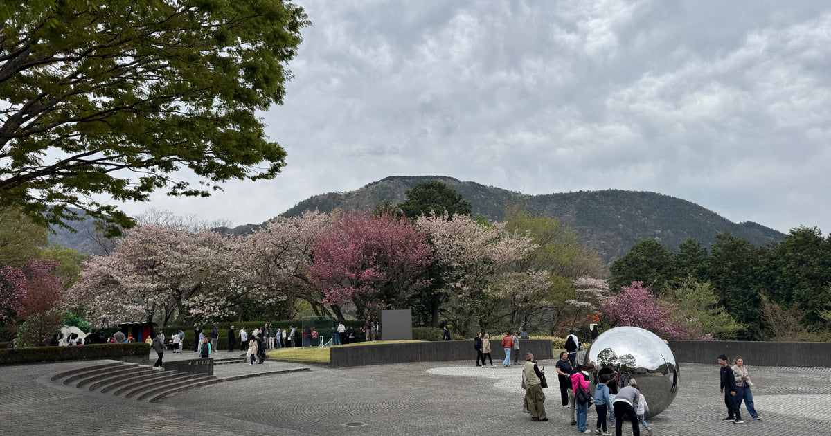 Planning a Hakone trip in Spring? Discover cherry blossoms in Odawara, Lake Ashi, and more with this easy 2-day itinerary using the Hakone Freepass