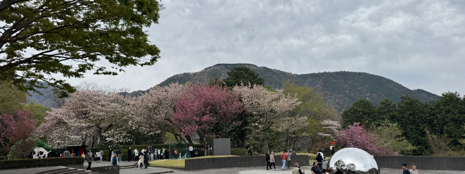 Planning a Hakone trip in Spring? Discover cherry blossoms in Odawara, Lake Ashi, and more with this easy 2-day itinerary using the Hakone Freepass