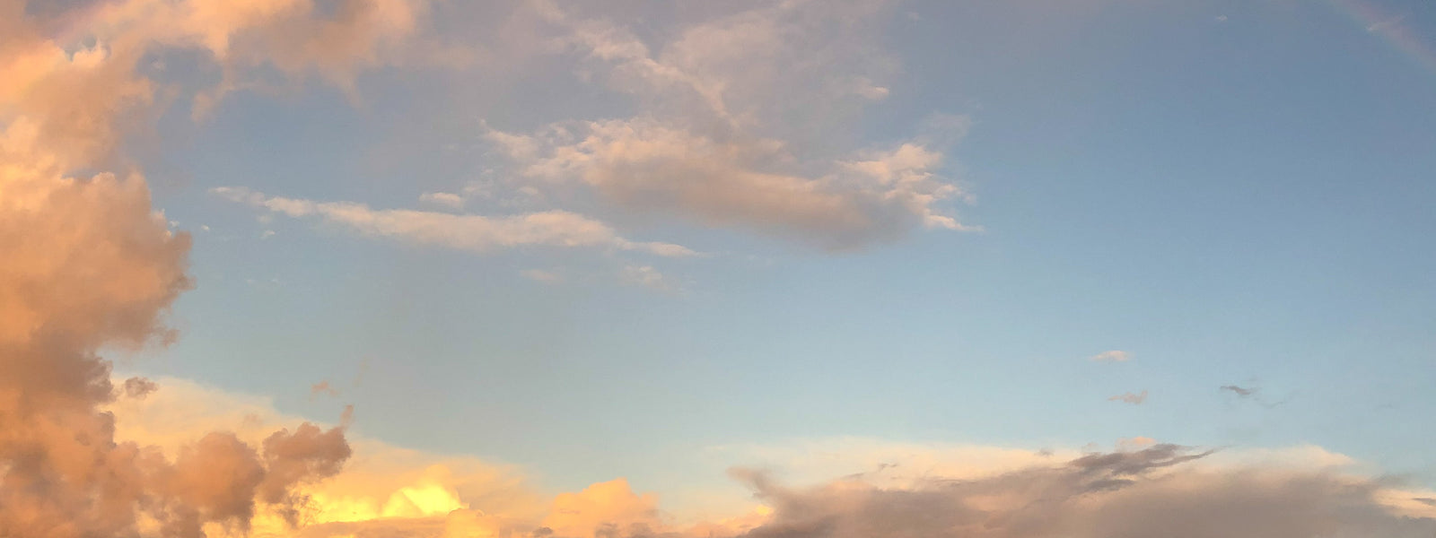 Sydney's 2 Airports: SYD vs WSI Guide for Singapore Travellers