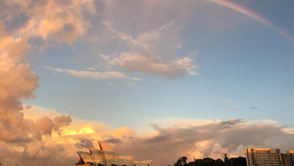Sydney's 2 Airports: SYD vs WSI Guide for Singapore Travellers