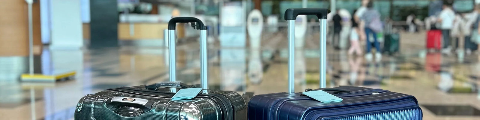 Luggage