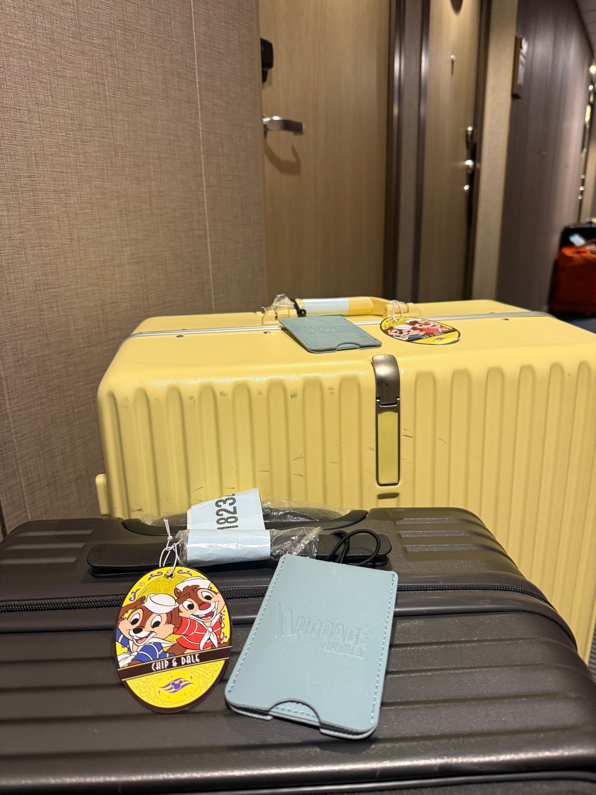 Disney Cruise Luggage Outlet Singapore