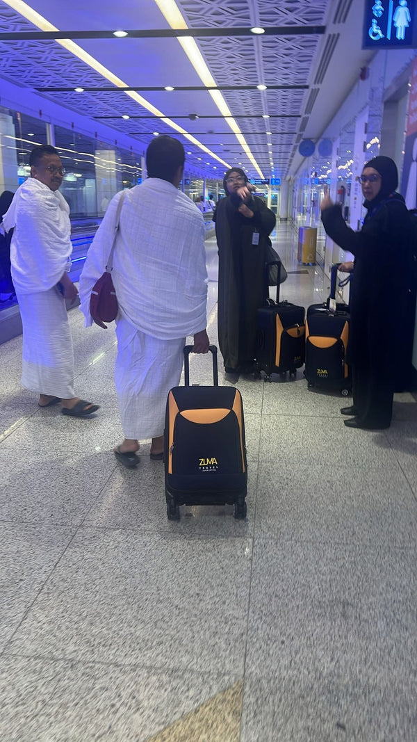 Cabin luggage (20")